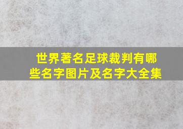 世界著名足球裁判有哪些名字图片及名字大全集