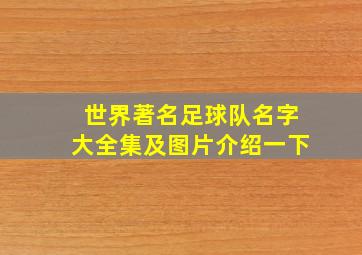 世界著名足球队名字大全集及图片介绍一下