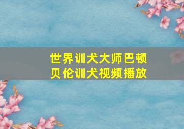 世界训犬大师巴顿贝伦训犬视频播放