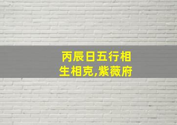 丙辰日五行相生相克,紫薇府