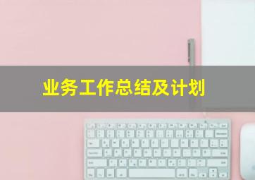 业务工作总结及计划