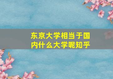 东京大学相当于国内什么大学呢知乎