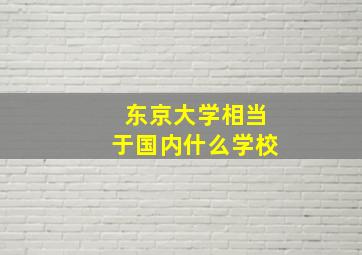 东京大学相当于国内什么学校