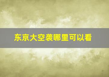 东京大空袭哪里可以看