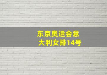 东京奥运会意大利女排14号