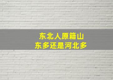 东北人原籍山东多还是河北多