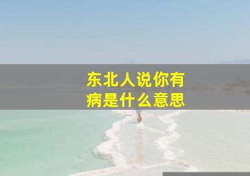 东北人说你有病是什么意思