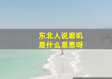 东北人说磨叽是什么意思呀