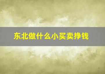 东北做什么小买卖挣钱