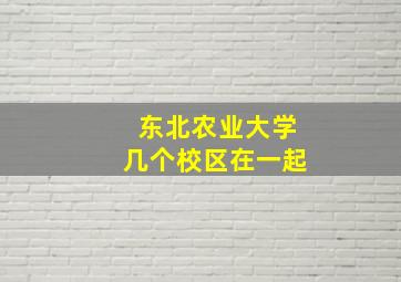 东北农业大学几个校区在一起