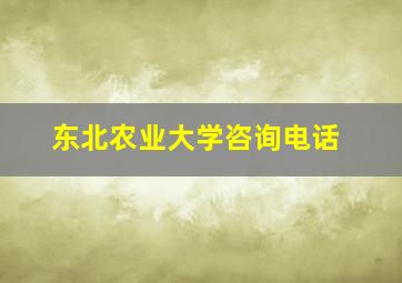 东北农业大学咨询电话