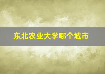 东北农业大学哪个城市