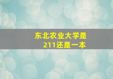 东北农业大学是211还是一本