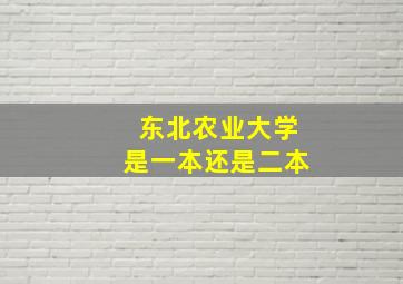 东北农业大学是一本还是二本