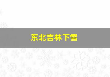 东北吉林下雪