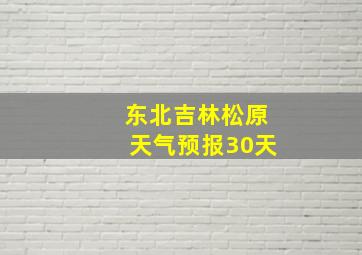 东北吉林松原天气预报30天