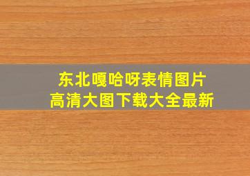 东北嘎哈呀表情图片高清大图下载大全最新