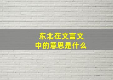 东北在文言文中的意思是什么