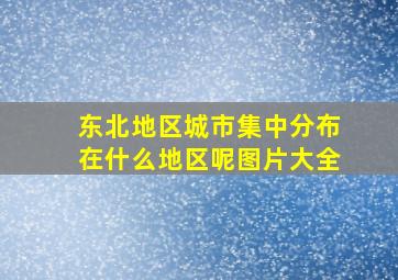 东北地区城市集中分布在什么地区呢图片大全