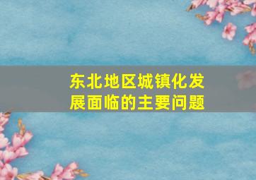 东北地区城镇化发展面临的主要问题