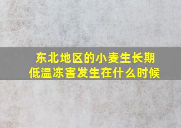 东北地区的小麦生长期低温冻害发生在什么时候