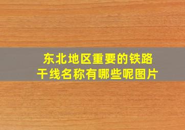 东北地区重要的铁路干线名称有哪些呢图片