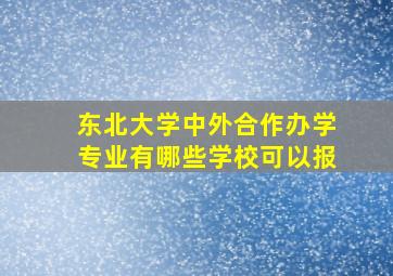 东北大学中外合作办学专业有哪些学校可以报