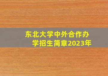 东北大学中外合作办学招生简章2023年