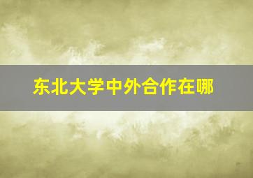 东北大学中外合作在哪