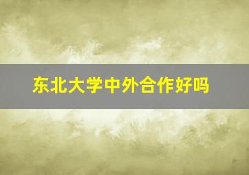 东北大学中外合作好吗