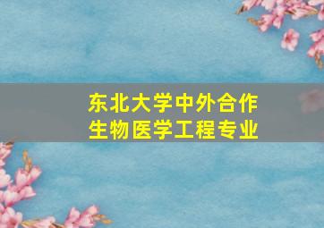 东北大学中外合作生物医学工程专业