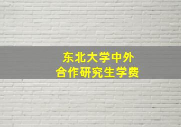 东北大学中外合作研究生学费