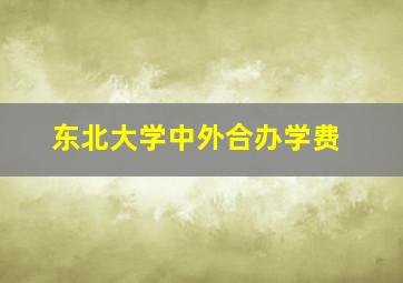 东北大学中外合办学费