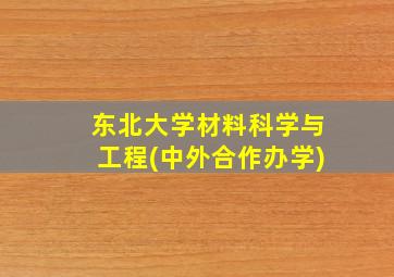 东北大学材料科学与工程(中外合作办学)