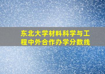 东北大学材料科学与工程中外合作办学分数线