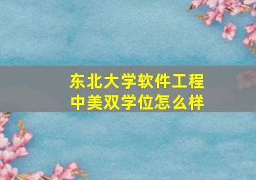 东北大学软件工程中美双学位怎么样