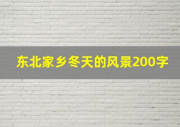 东北家乡冬天的风景200字