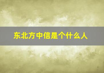 东北方中信是个什么人