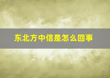 东北方中信是怎么回事