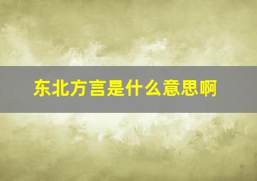 东北方言是什么意思啊