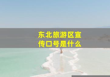 东北旅游区宣传口号是什么