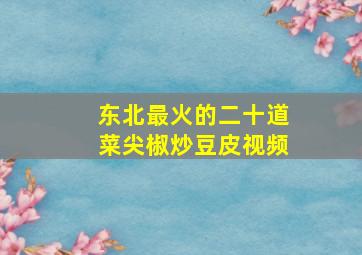 东北最火的二十道菜尖椒炒豆皮视频