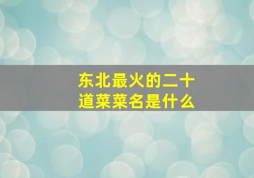 东北最火的二十道菜菜名是什么