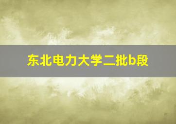 东北电力大学二批b段