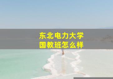 东北电力大学国教班怎么样