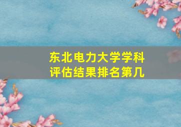 东北电力大学学科评估结果排名第几