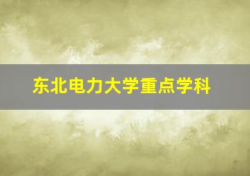 东北电力大学重点学科