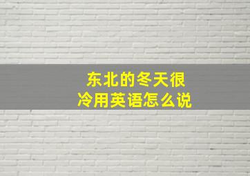 东北的冬天很冷用英语怎么说