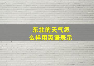 东北的天气怎么样用英语表示