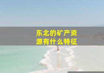 东北的矿产资源有什么特征